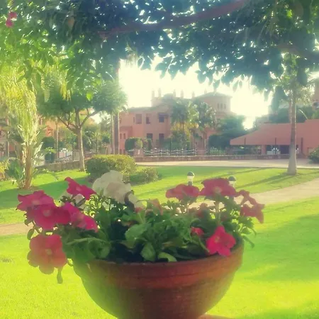 Hacienda Del Sol Deluxe Beachside Apartment